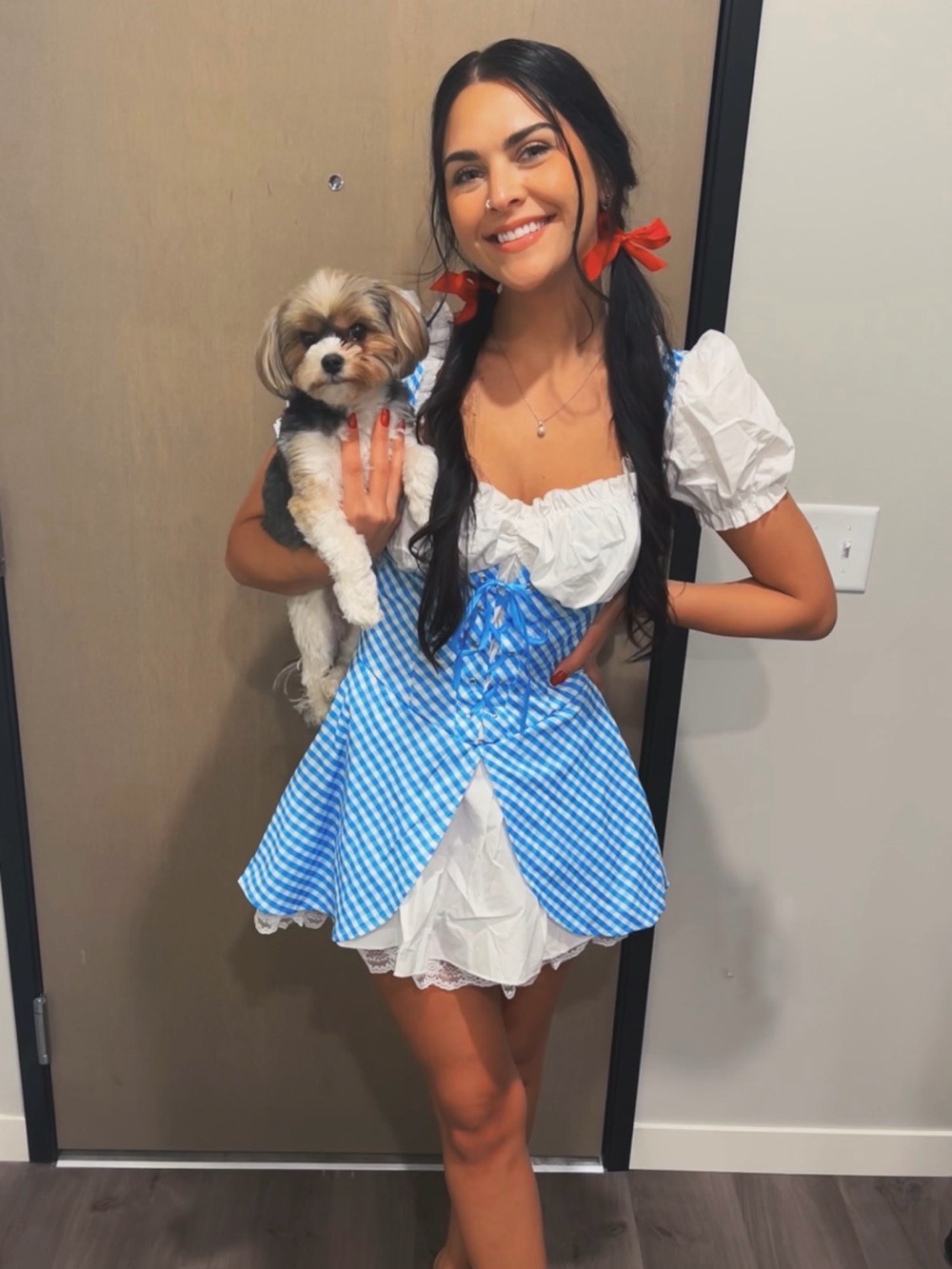 Dorothy - Leg Avenue Blue Gingham Costume Dress 🧺🐶👠